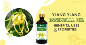 What are the Spiritual Benefits of Ylang Ylang
