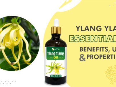 What are the Spiritual Benefits of Ylang Ylang